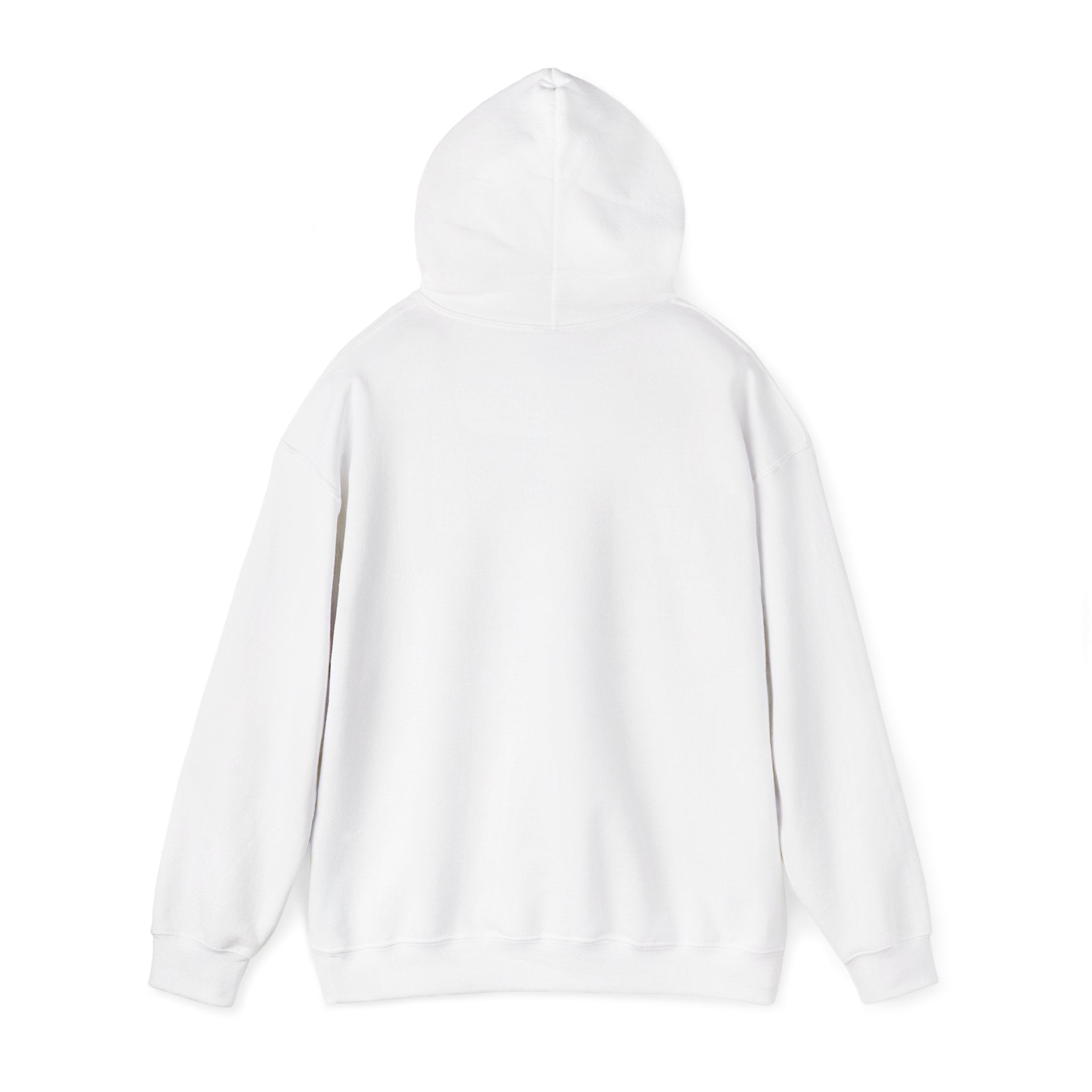 Jesus is the Reason for the Season Hoodie WHITE ONLY