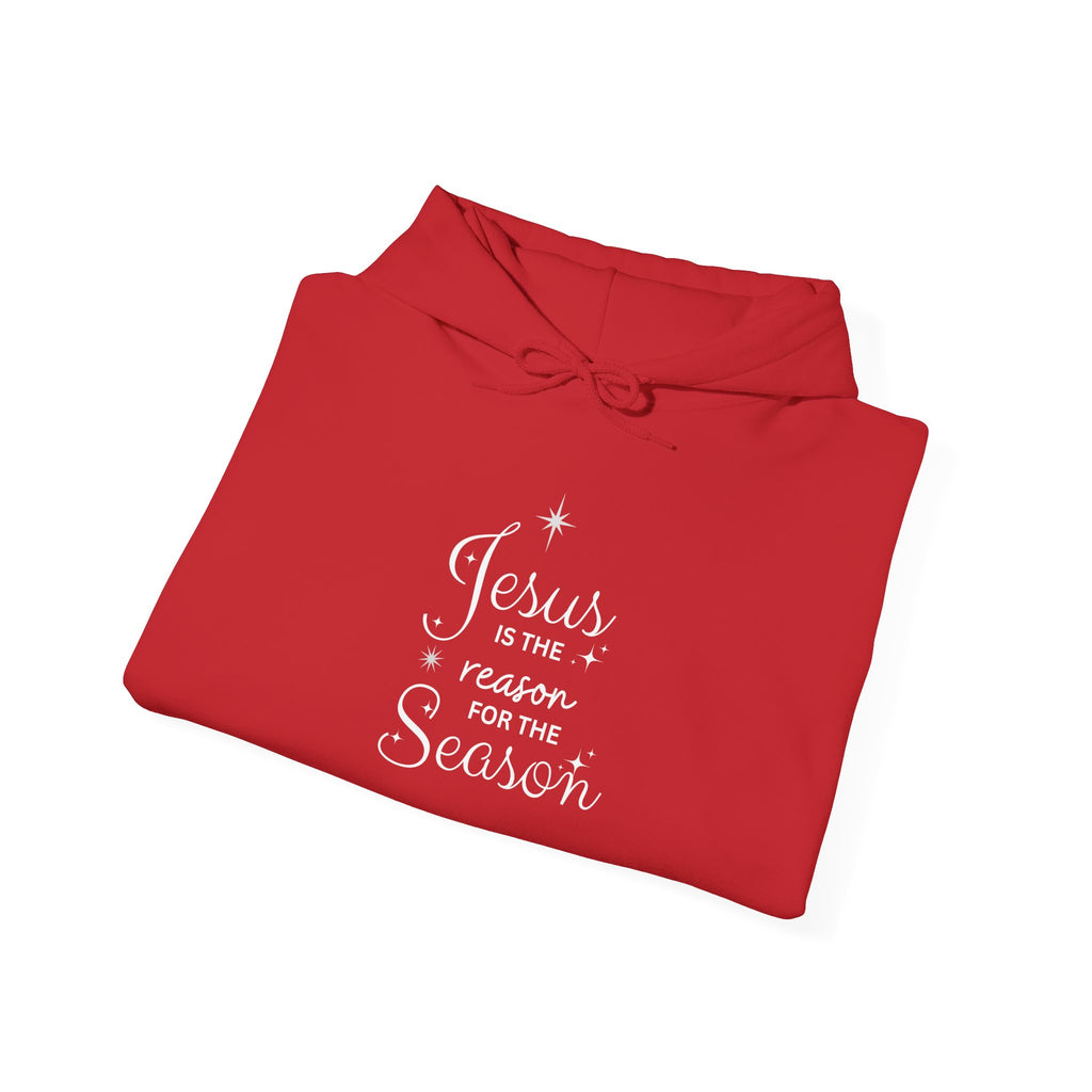 Jesus Is The Reason For The Season – Hoodie