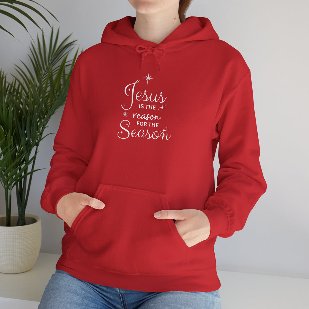 Jesus Is The Reason For The Season – Hoodie