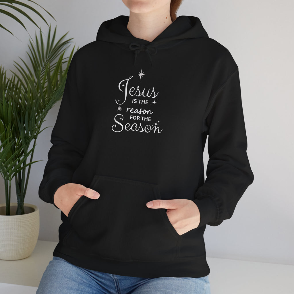 Jesus Is The Reason For The Season – Hoodie